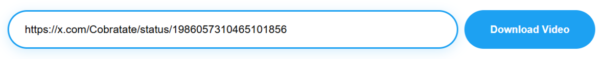Paste Twitter URL to download video