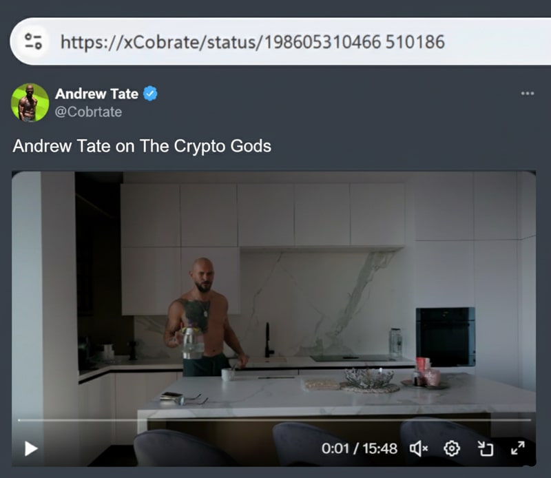 Sample Twitter video tweet